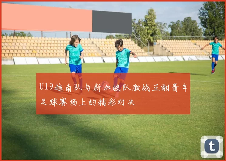 U19越南队与新加坡队激战正酣青年足球赛场上的精彩对决